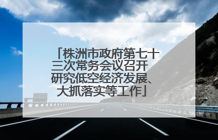 株洲市政府第七十三次常务会议召开 研究低空经济发展、大抓落实等工作